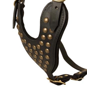 Studded Black Leather CHest Plate for Newfoundland Comfort