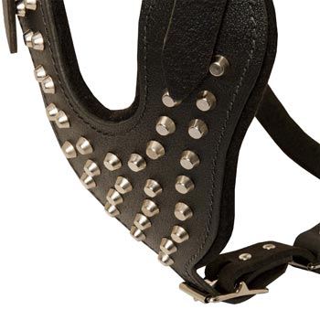 Studded Chest Plate Leather Newfoundland Harness