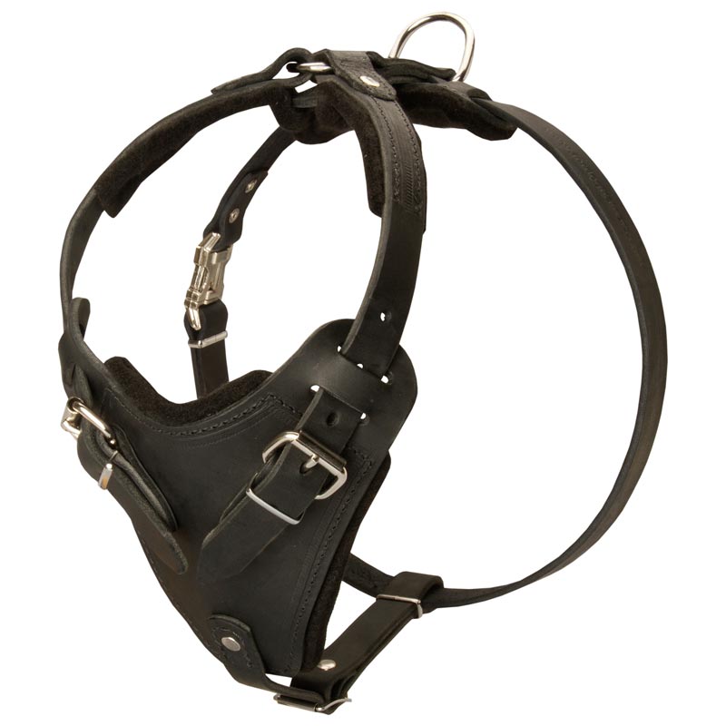 Protection Leather Newfoundland Harness for Attack Agitation Dog Training