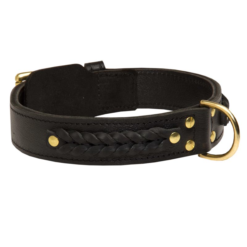 Design a cheap dog collar