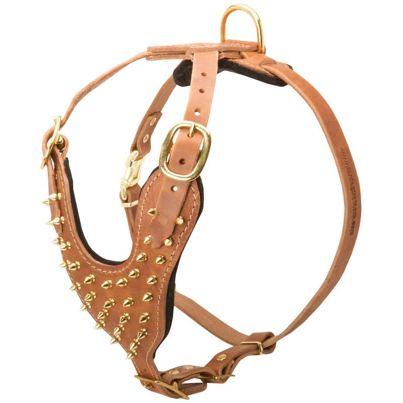 Brass Spiked Leather Newfoundland Harness for Fashion Walking [H9B ...