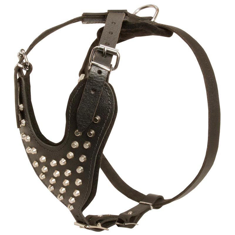 Royal Design Leather Newfoundland Harness with Brass Studs [H11##1118  Leather harness with Y-shaped chest plate&studs] : Newfoundland Breed: Dog  Harness, Muzzle, Collar, Leash, Dog Supplies