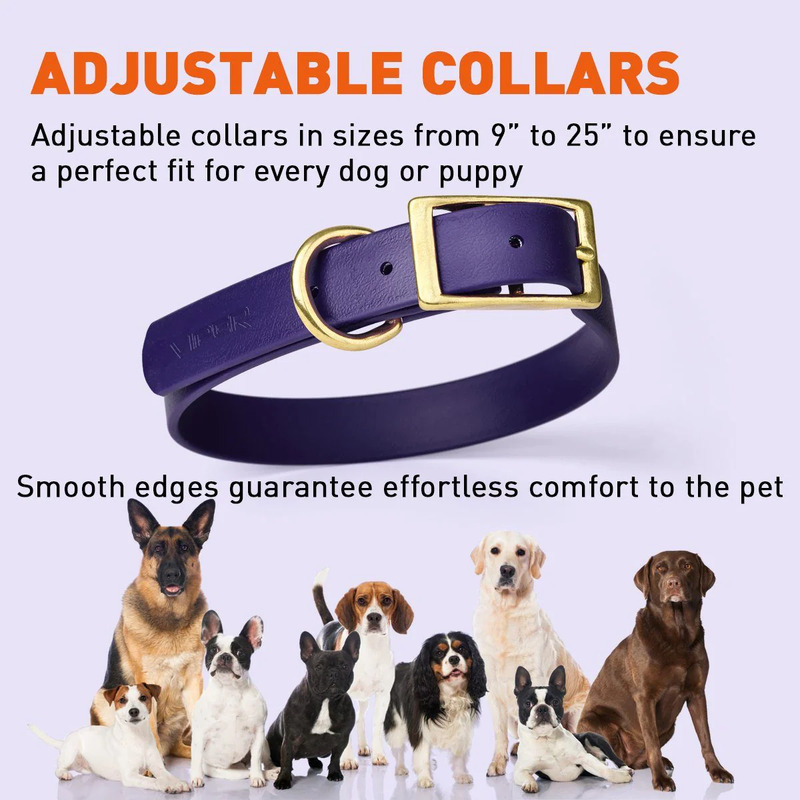 Viper Biothane Collar with Brass Hardware [V7001-1] : Amstaff dog harness,  Amstaff dog muzzle, Amstaff dog collar , dog leash, Amstaff