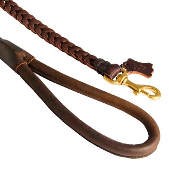 Braided Leather Newfoundland Leash with Brass Snap Hook