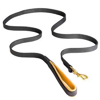Padded Leather Leash for Newfoundland Comfortable Walking