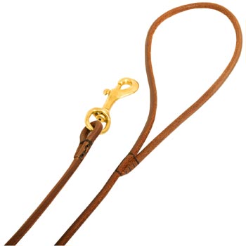 Leather Newfoundland Leash with Comfy Round Hnadle