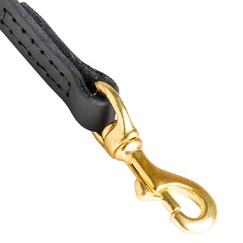 Newfoundland Leather Leash with Massive Gold-like Snap Hook
