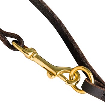 Leather Newfoundland Leash with Brass Hardware for Dog Control