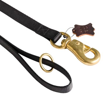 Newfoundland Nylon Leash with Brass O-ring and Snap Hook