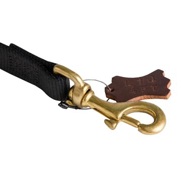 Nylon Newfoundland Leash with Dependably Stitched Brass Snap Hook