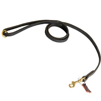 Strong Leather Newfoundland Leash for Popular Dog Activities