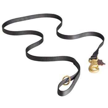 All Weather Nylon Leash for Newfoundland Tracking and Training
