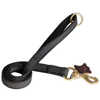 Nylon Leash for Newfoundland Training will Help to Achieve Great Results