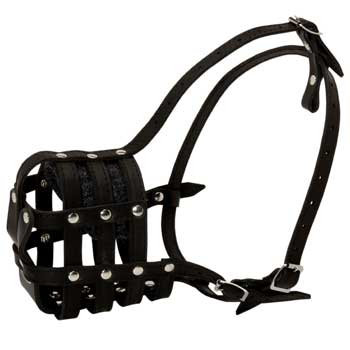 Newfoundland Muzzle Leather Cage for Daily Walking
