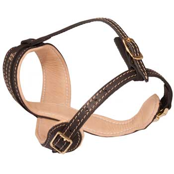 Newfoundland Muzzle Leather Easy Adjustable with Quick Release Buckle